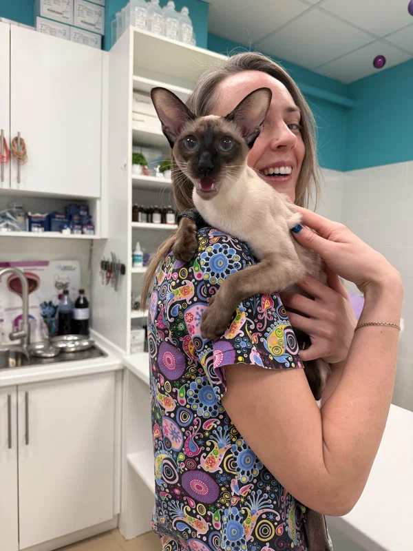 Оборудование клиники