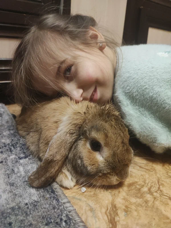 Забота о животных