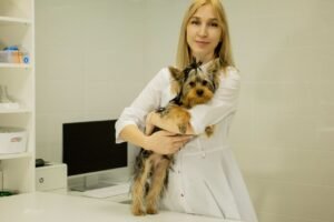 Ветеринарный врач АльфаВет с пациентом