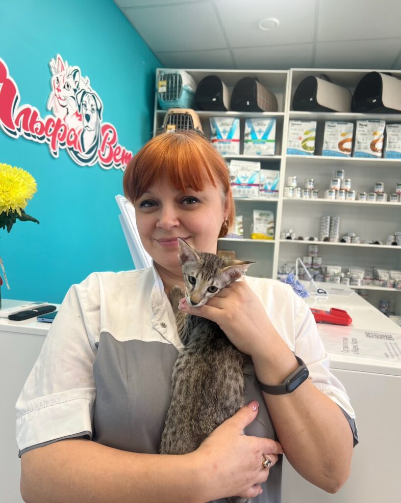 Сегодня к нам заглянул маленький котёнок на первую вакцинацию