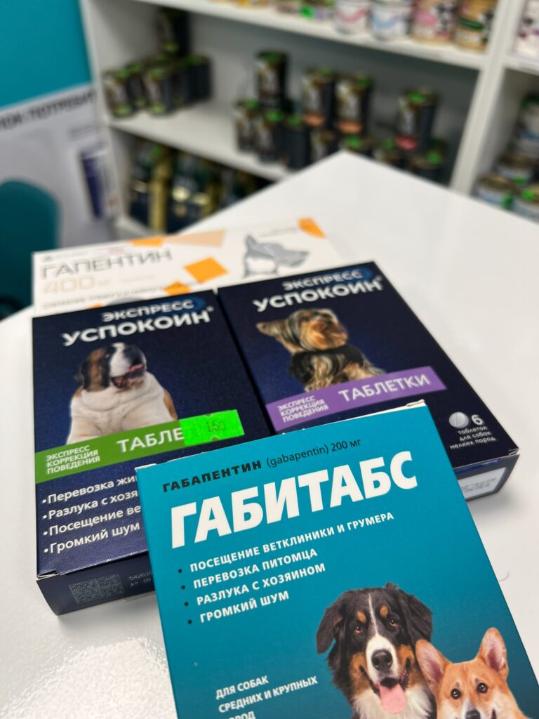 Ваш питомец в панике при виде ветеринарной клиники? Мы знаем, как помочь!