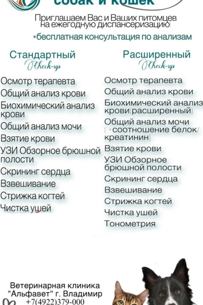 Диспансеризация в ветеринарной клинике Альфавет: заботимся о здоровье ваших п...