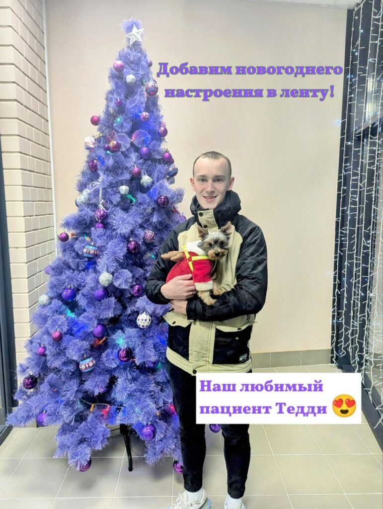 Йоркширский терьер Тедди передает привет с главной ёлки нашей ветеринарной кл...