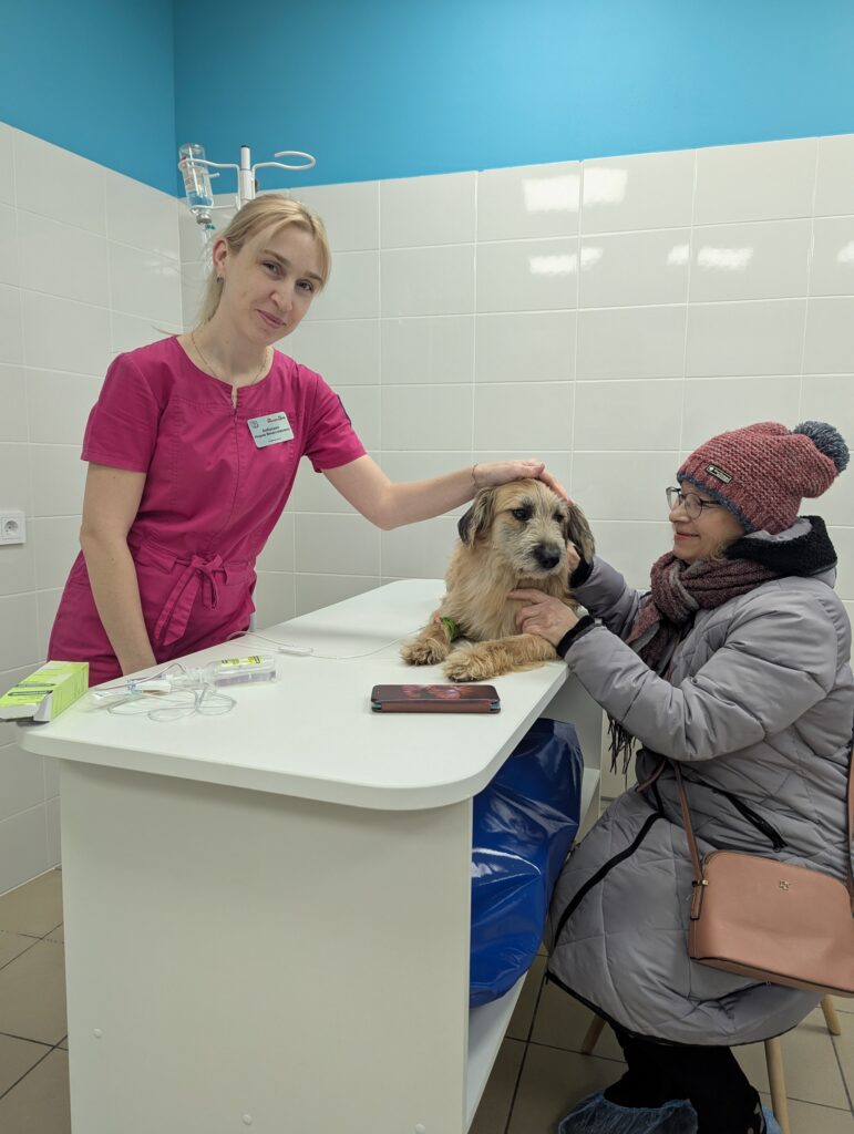 Мир не без добрых людей! Овчарка Марик, которого едва не усыпили, сейчас прох...