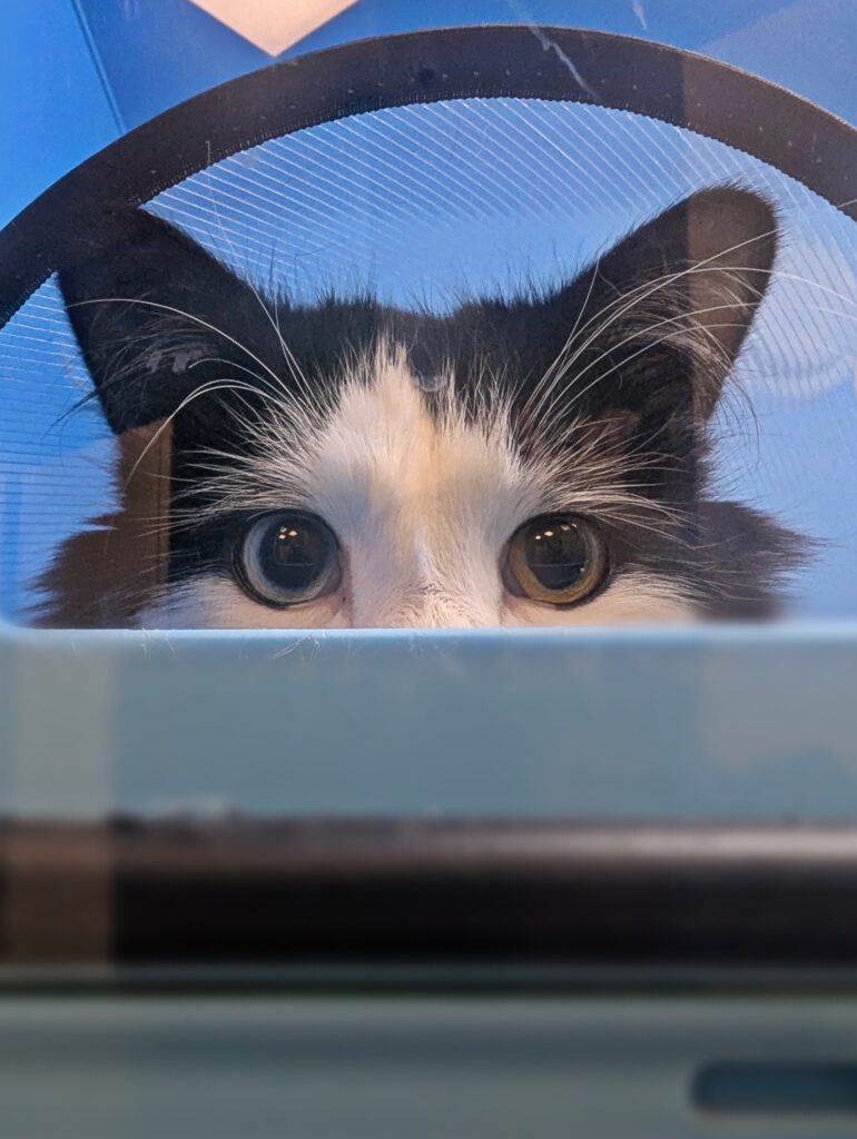 Взгляд, который не оставит равнодушным!