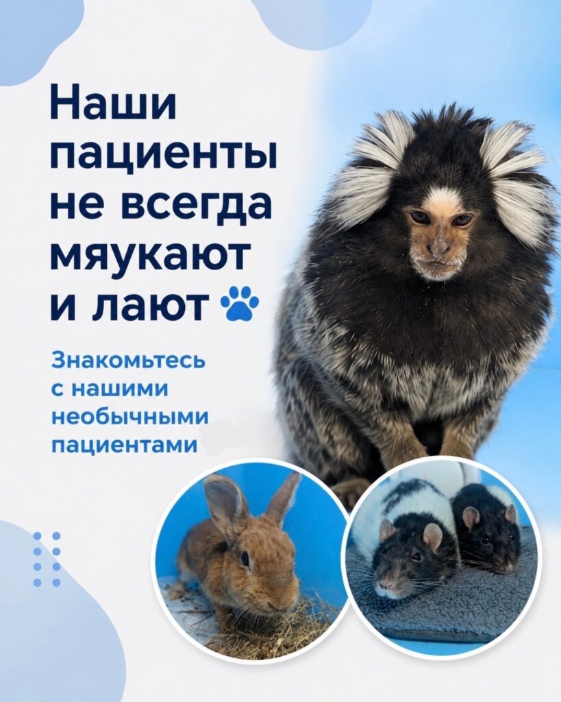 Наши пациенты не всегда мяукают и лают 🐾