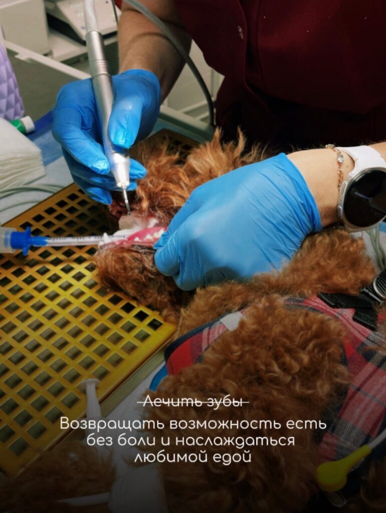 Если бы нас попросили описать работу одним словом — это было бы не просто…